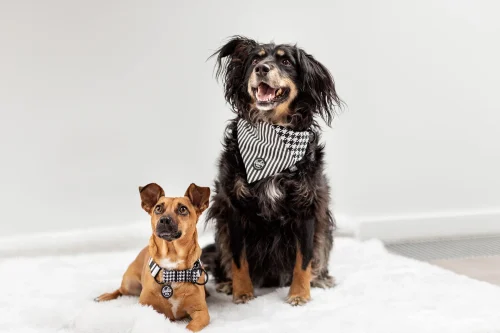 Warunki współpracy